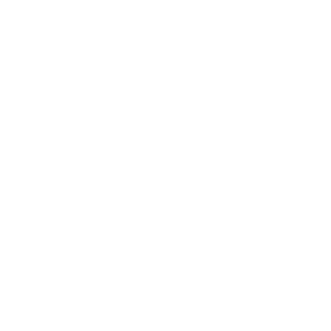 B8_Logo_white